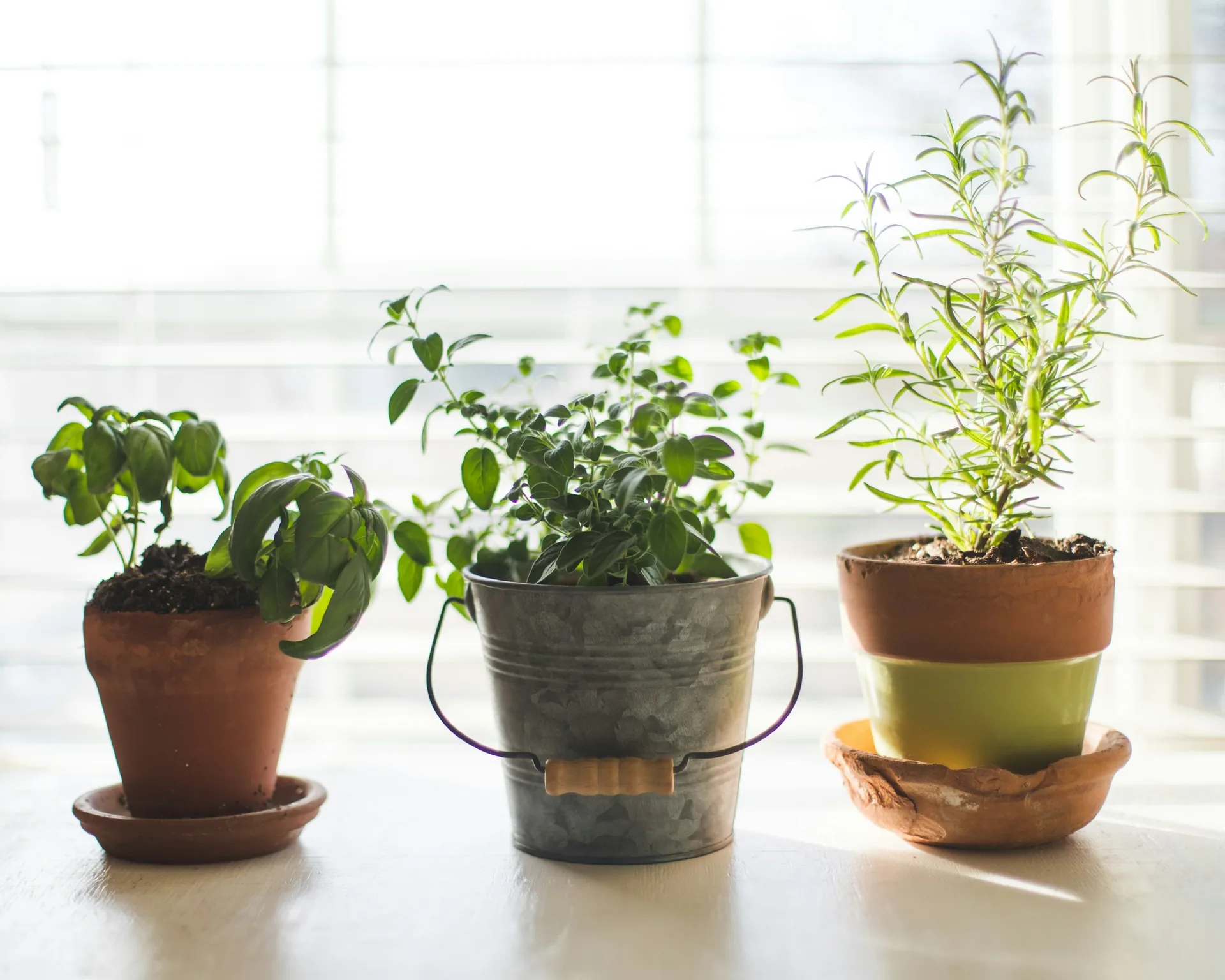 Le Rumenla Smart Indoor Garden, jardin d’intérieur hydroponique avec lampe LED